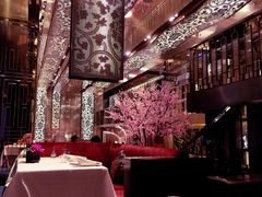 -金轩中餐厅 Jin Xuan(浦东丽思卡尔顿酒店)
