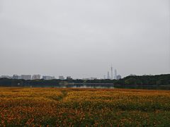 -海珠湖公园