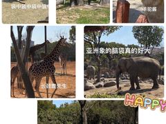 -上海野生动物园