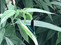 -贵阳市花溪国家城市湿地公园