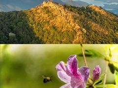 -梧桐山风景名胜区