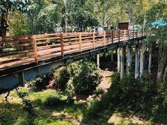 -野象谷景区