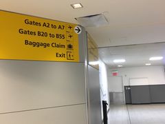 -约翰·菲茨杰拉德·肯尼迪国际机场