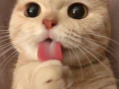 -红小满休闲餐厅(十全街店)