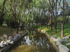 -大望京公园