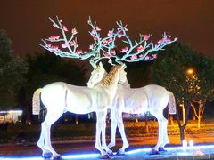 -鹭江潮餐厅•福建菜(鹭江佲家酒店)