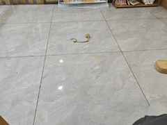 -柴犬小屋·柴餐厅·狗咖食堂(金鼎广场店)