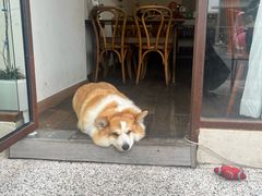 -肥朵食堂(带梦胡同店)