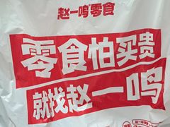 -赵一鸣零食(广东佛山大沥镇嘉洲店)