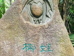 -呀诺达热带雨林