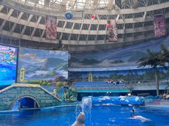 -海合安成都极地海洋公园