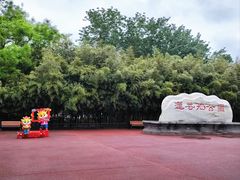 -莲花池公园