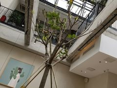 景观位-大树餐厅(红旗街万达店)