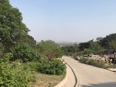 -北京西山国家森林公园