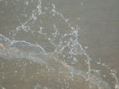 -三亚湾红树林度假世界(木棉酒店)