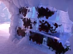 -世界之窗阿尔卑斯冰雪世界