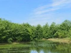 -上海海湾国家森林公园