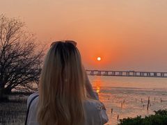 -宝安西湾红树林湿地公园