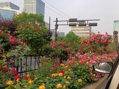 -西湖文化广场