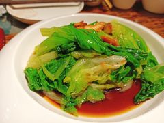 白灼有机生菜-老广酒楼(樱花店)