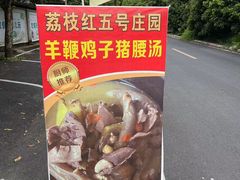 -荔枝红五号农庄