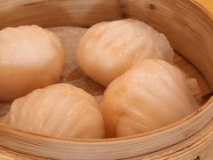 -咖啡苑 - 蔚藍夏日限定主题(永利皇宫店)