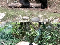 -成都动物园