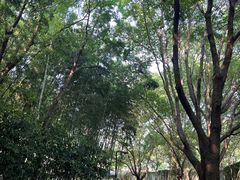 -乌镇景区
