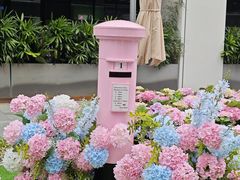 -HALO广场(梨园路店)