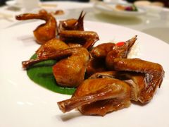 红烧乳鸽-东海海鲜酒家(中信广场店)