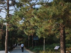 -大青沟风景区