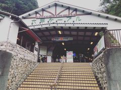 -神户市立六甲山牧场
