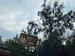 -南普陀寺