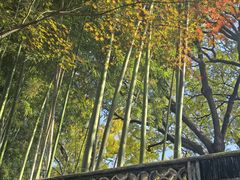 -秋霞圃