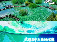 -大湾区中央湿地公园