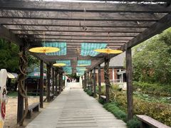 -白马涧龙池景区
