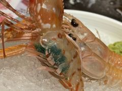 -松坂屋日料自助(长城路店)