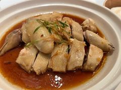 葱香鸡-山东老家(科韵分店)