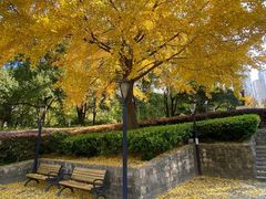 -苏州河梦清园环保主题公园