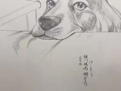 给客人画的卡通画-獨門烤肉(开发区店)
