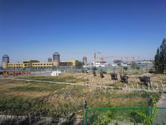 景点-霍尔果斯国门景区
