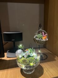 -蜜悦居月子中心(国金中心店)