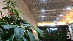 -Hair ART造型沙龙