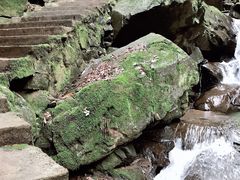 -藏龙百瀑风景区