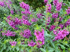 -西北湖绿化广场