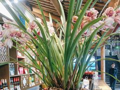 -紫腾大院·南京菜(江宁店)