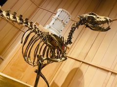 -OUR Bakery(SKP-S店)