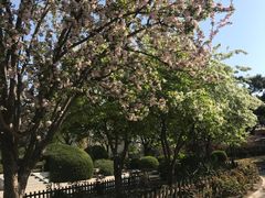 -丰台花园