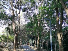 -风云岭森林公园