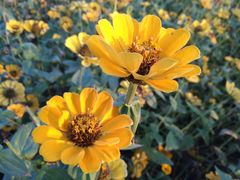 -艾溪湖湿地公园